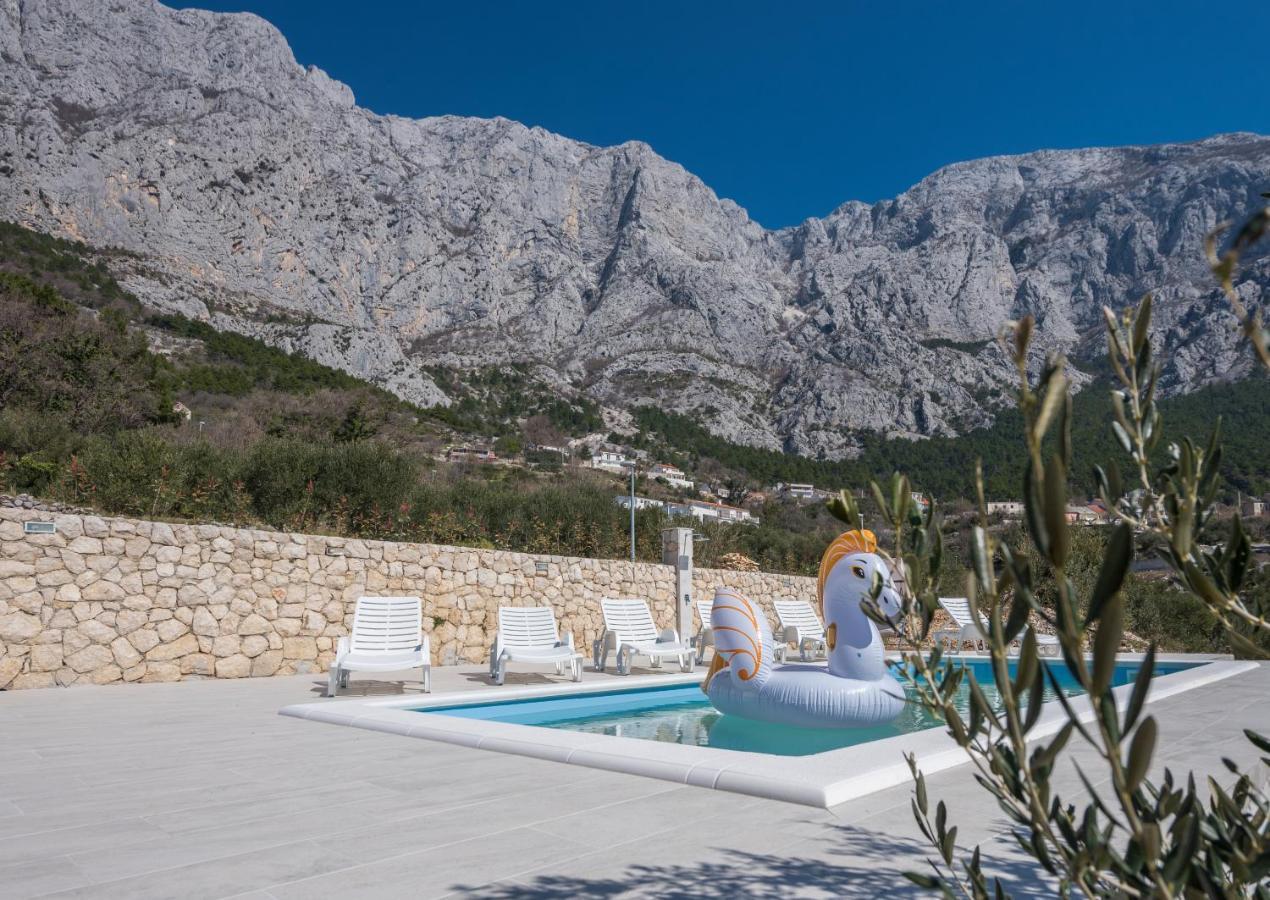 Villa Violeta With Amazing Sea View Makarska Zewnętrze zdjęcie